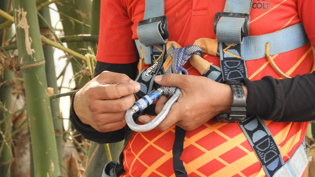 Harnesses